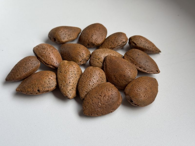 Facsimilé - Amandes